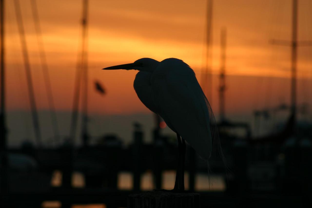 Whooping Crane Manor B & B Rockport Luaran gambar