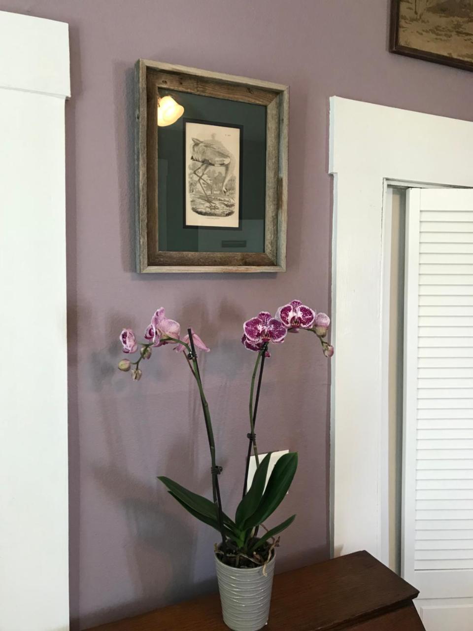 Whooping Crane Manor B & B Rockport Luaran gambar